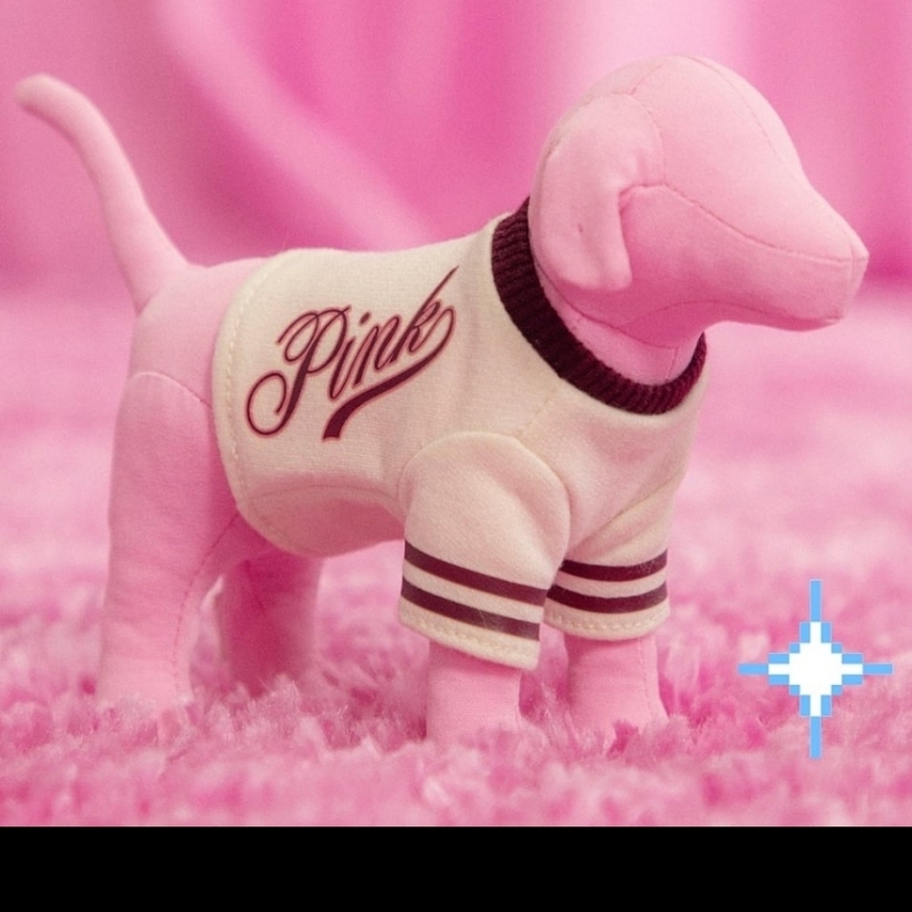 PINK Victoria's Secret Pink Dog With  Tee